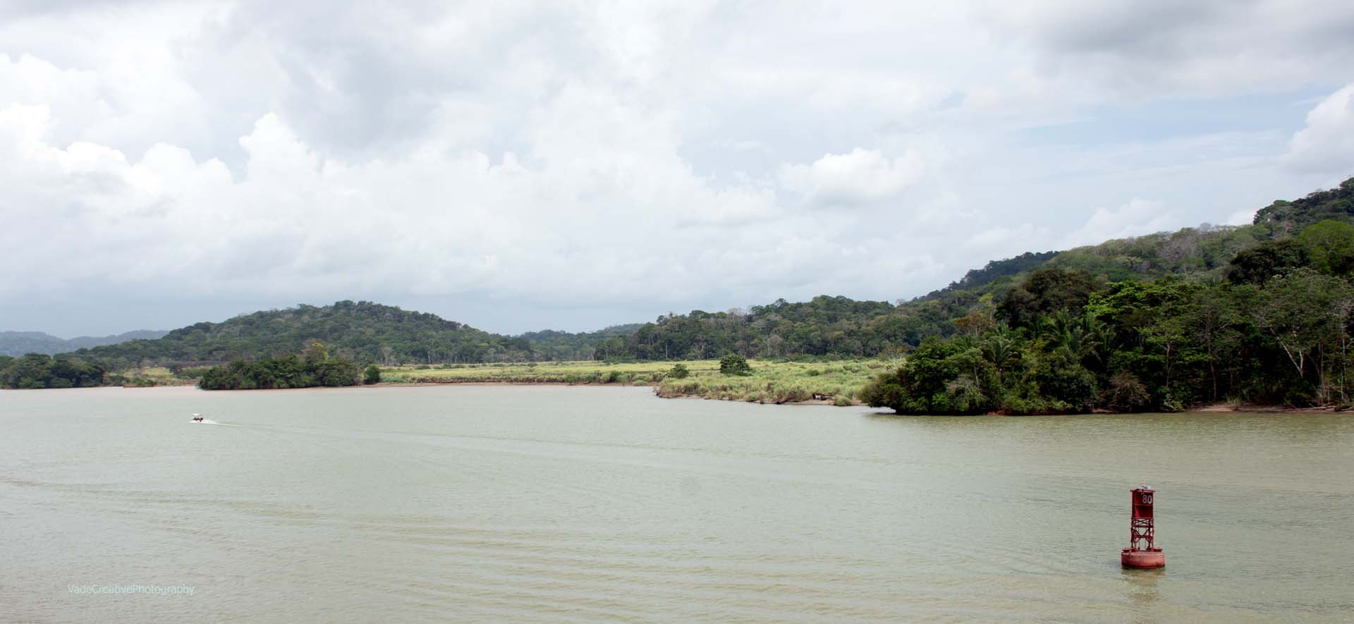 Gatun Lake Shore