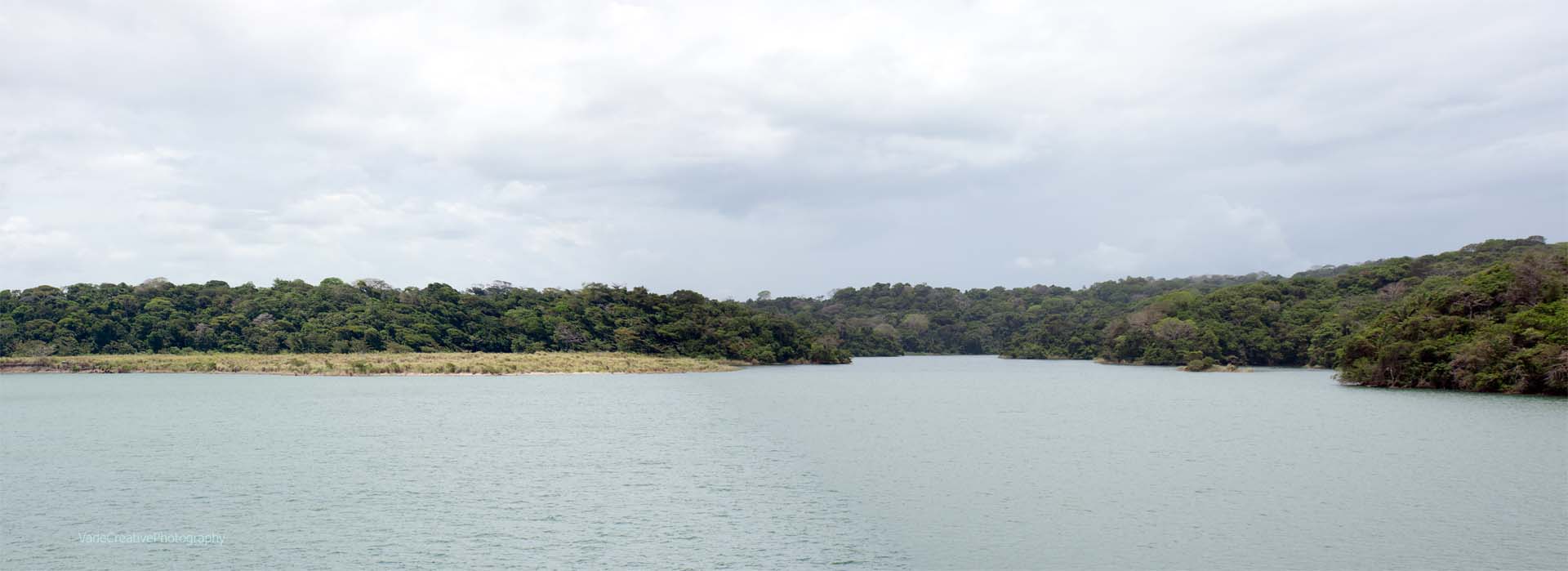 Gatun Lake Shore