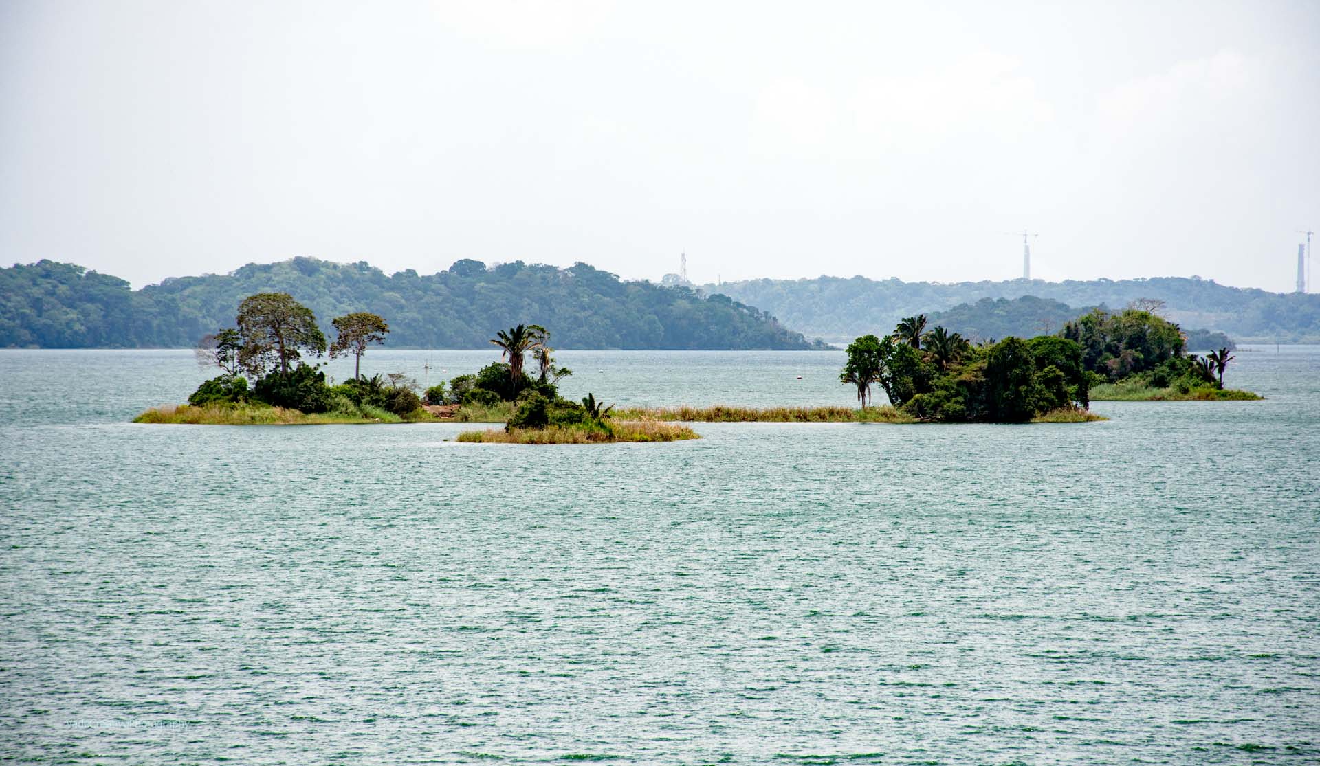 Islets In Gatun Lake