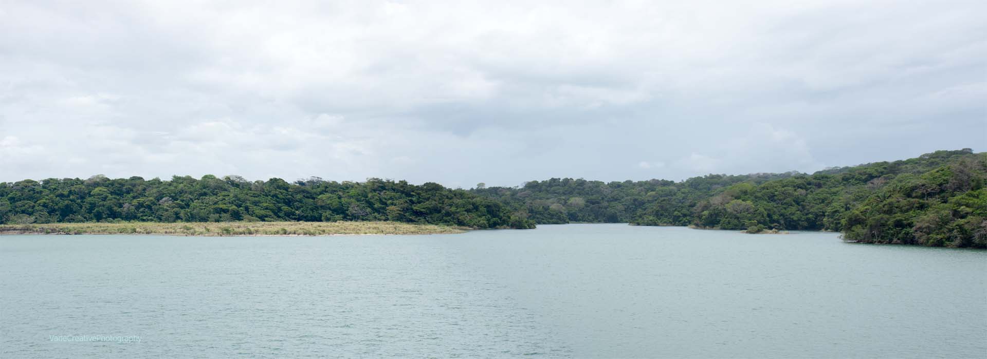 Gatun Lake Shore