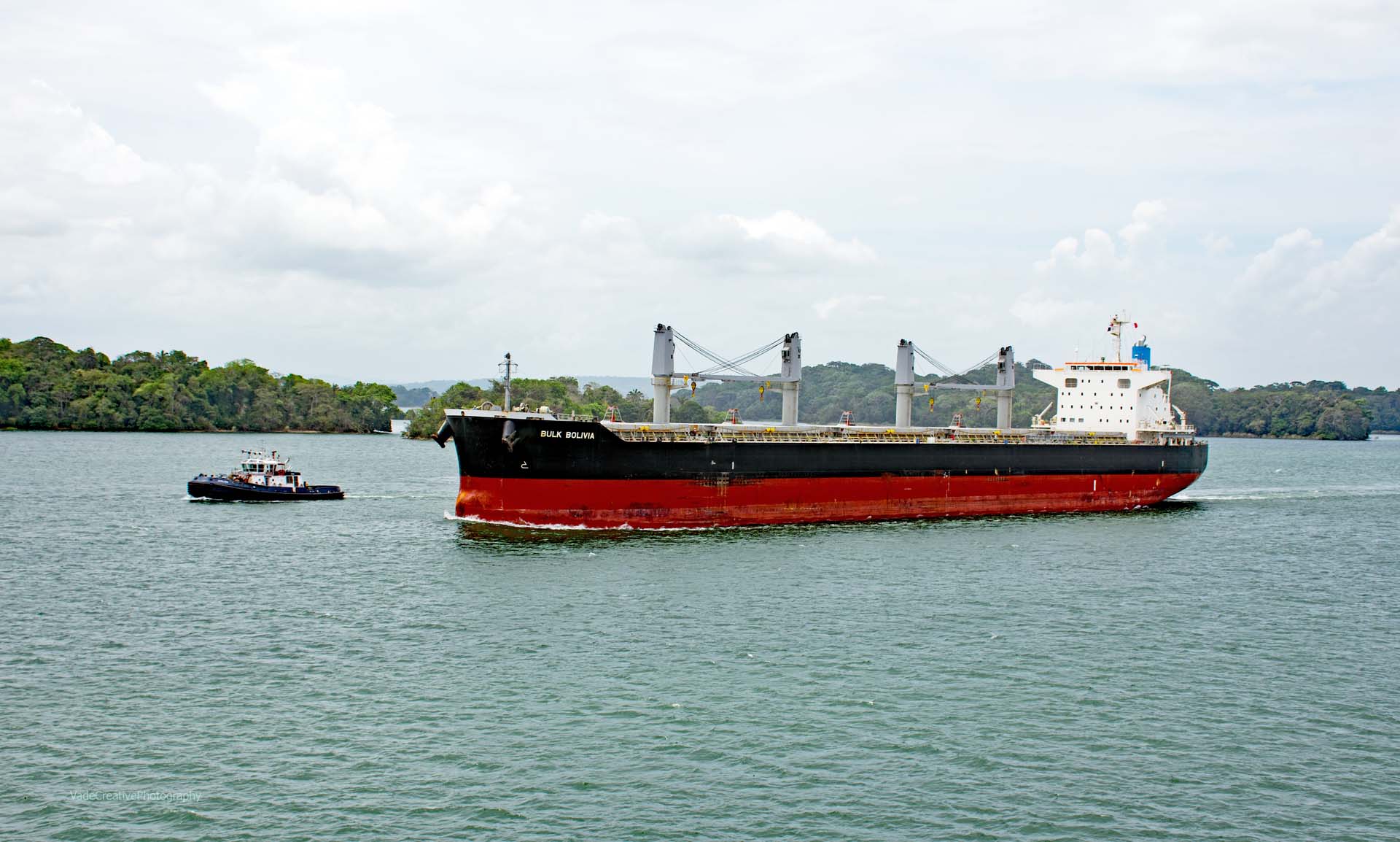 Bulk Bolivia, Bulk Carrier