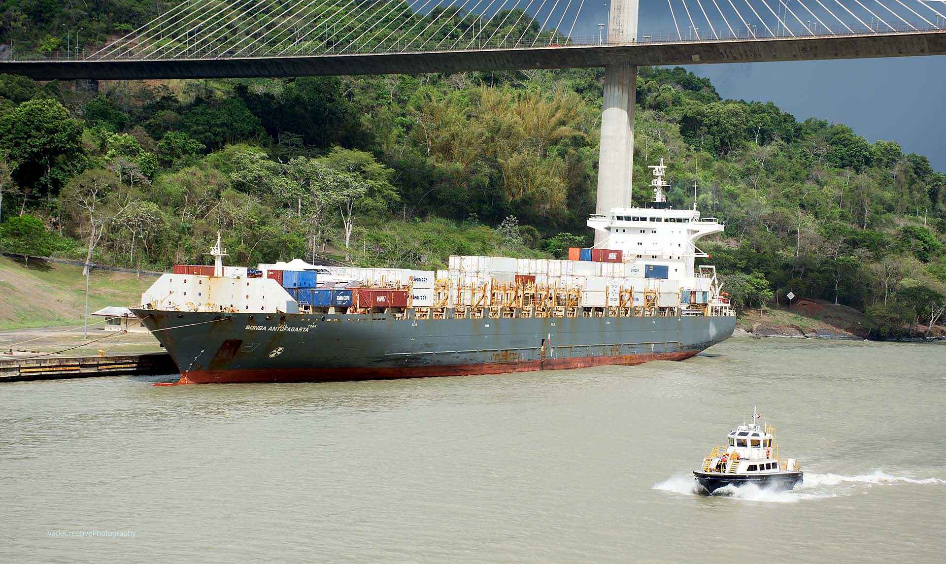 SONGA ANTOFAGASTA is a Container ship