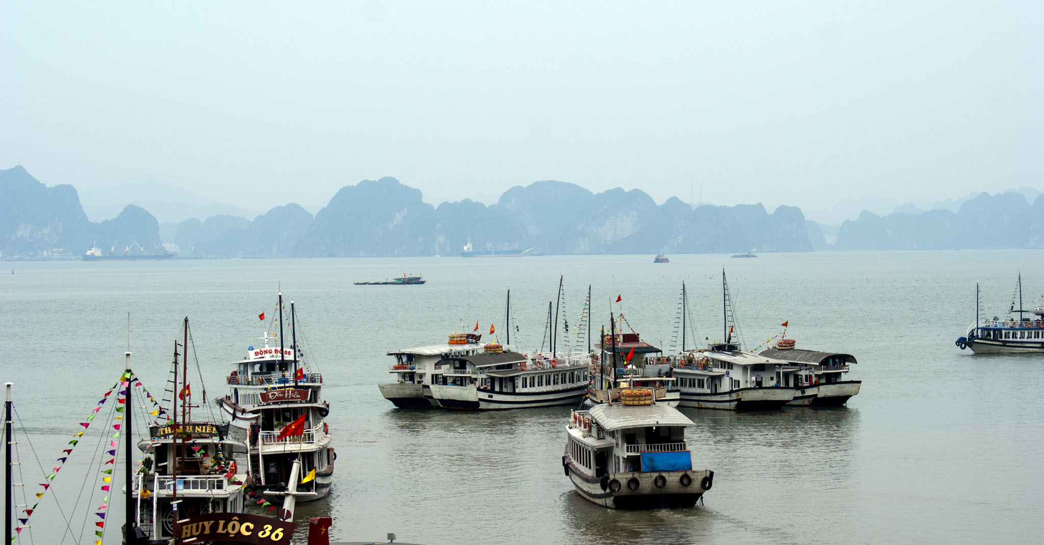 Traditional Tourist Boats